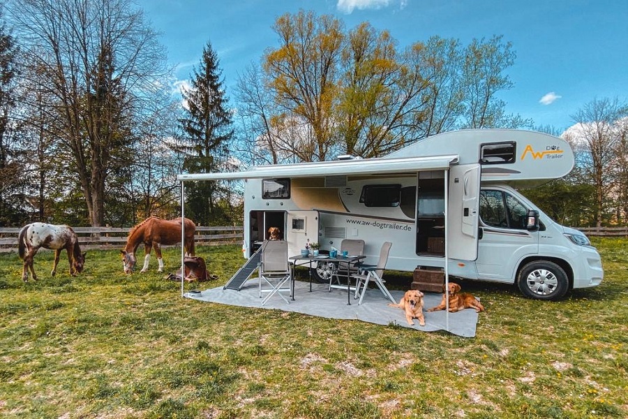 "Balou" Carado A 464, AW-Hundewohnmobil, Hundecamper